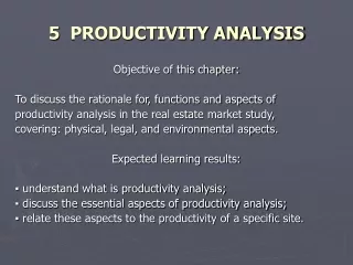 5   PRODUCTIVITY ANALYSIS