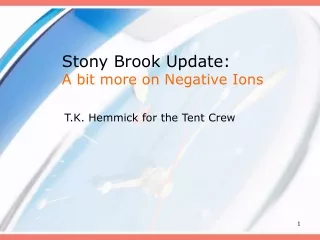 Stony Brook Update: A bit more on Negative Ions