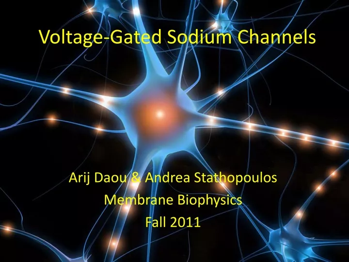 voltage gated sodium channels