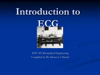 Introduction to ECG