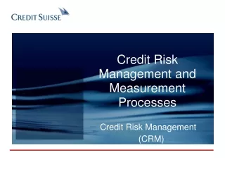 Credit Risk Management and Measurement Processes