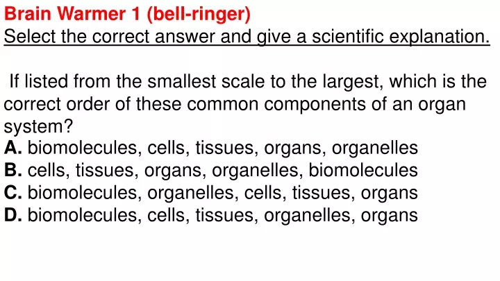 brain warmer 1 bell ringer select the correct