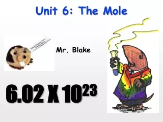Unit 6: The Mole