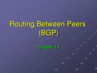 Routing Between Peers  (BGP)