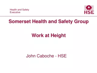 Somerset Health and Safety Group Work at Height
