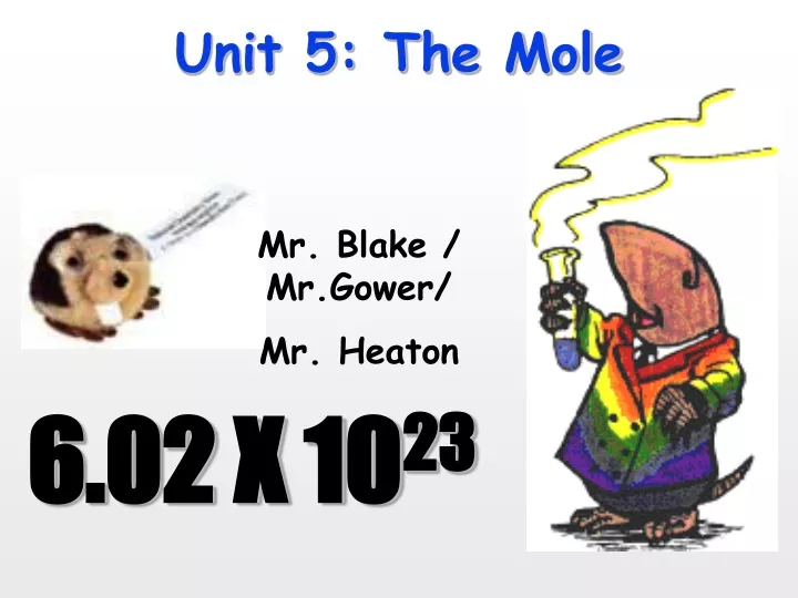 unit 5 the mole