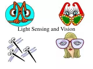 Light Sensing and Vision