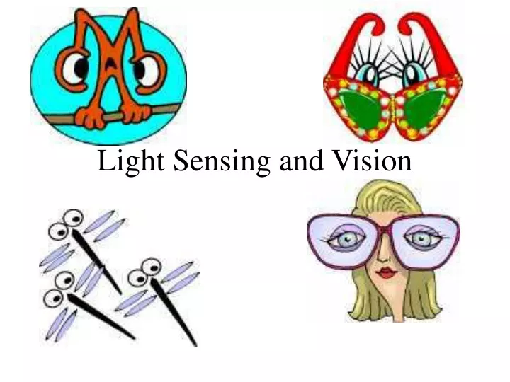 light sensing and vision