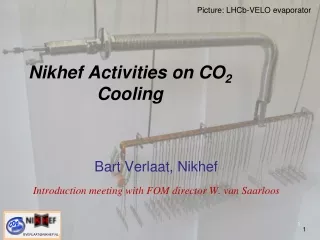 Nikhef Activities on CO 2  Cooling