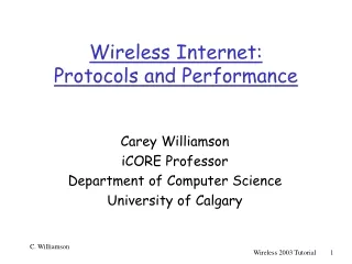 Wireless Internet: Protocols and Performance