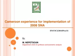 Cameroon experience  for  implementation  of 2008 SNA