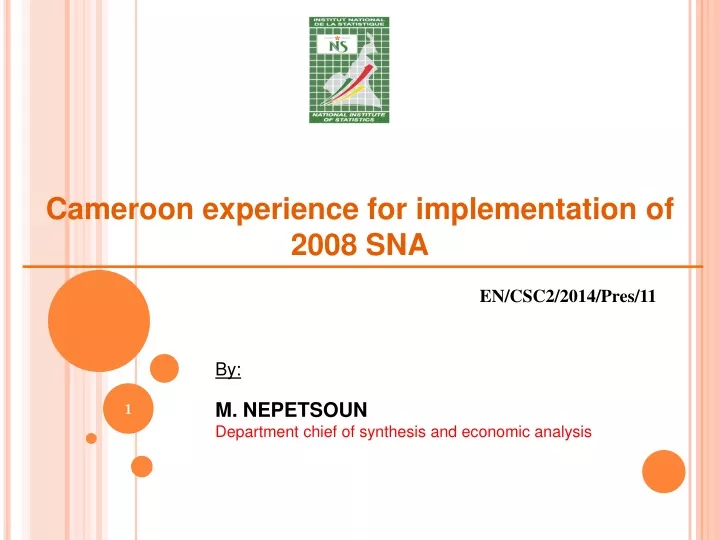 cameroon experience for implementation of 2008 sna