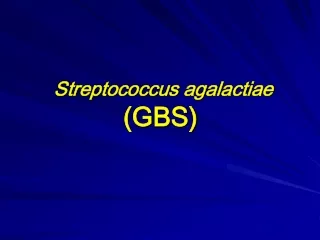 Streptococcus  agalactiae (GBS)