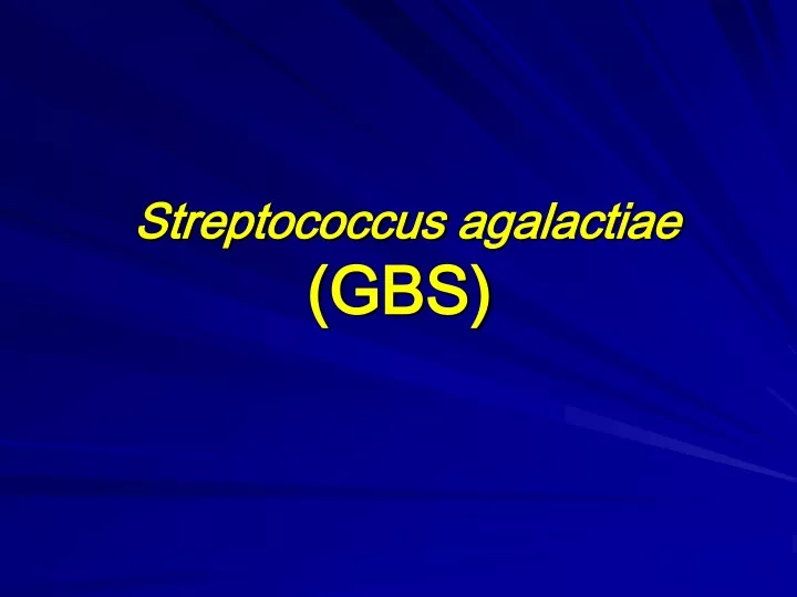 streptococcus agalactiae gbs