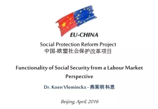 Functionality of Social Security from a Labour Market Perspective Dr. Koen Vleminckx  -  ??? ??