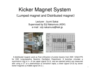 Kicker Magnet System