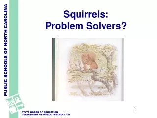 Squirrels:  Problem Solvers?