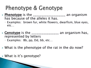 Phenotype &amp; Genotype