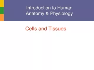 Introduction to Human  Anatomy &amp; Physiology