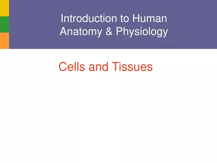 introduction to human anatomy physiology