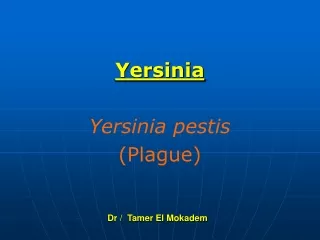 Yersinia Yersinia pestis (Plague)