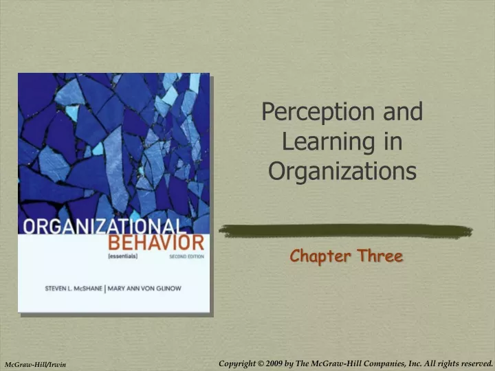 perception and learning in organizations