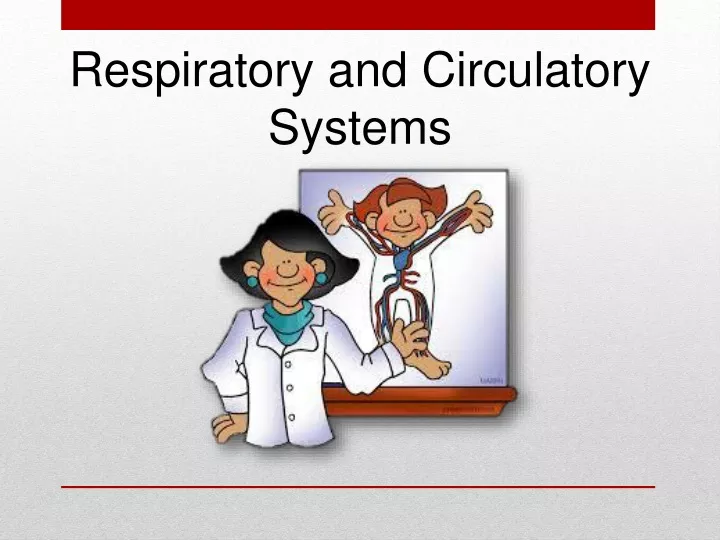 respiratory and circulatory systems