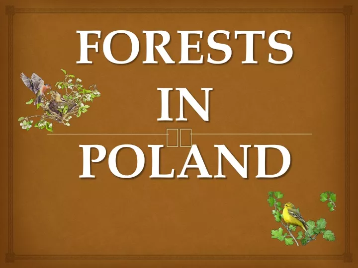 forests in poland