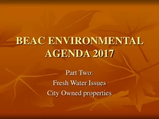 BEAC ENVIRONMENTAL AGENDA 2017