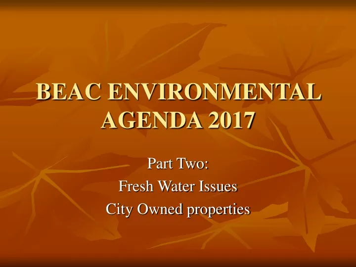 beac environmental agenda 2017