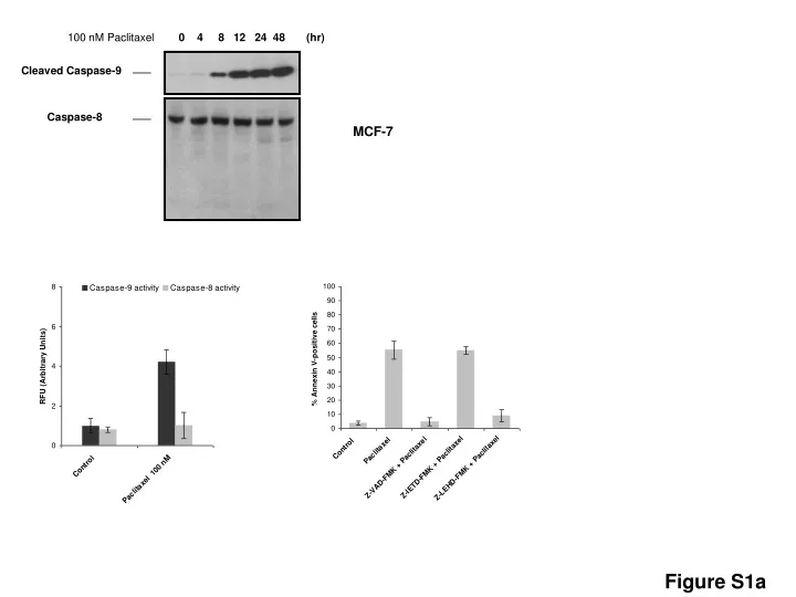 100 nm paclitaxel