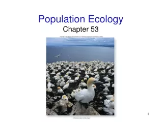 Population Ecology Chapter 53