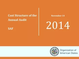 Responsibility of the External Annual Audit