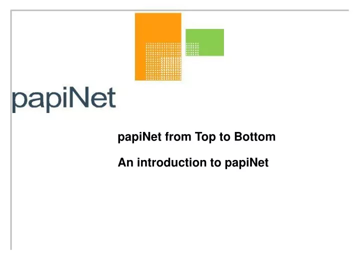 papinet from top to bottom