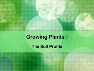 Growing Plants :