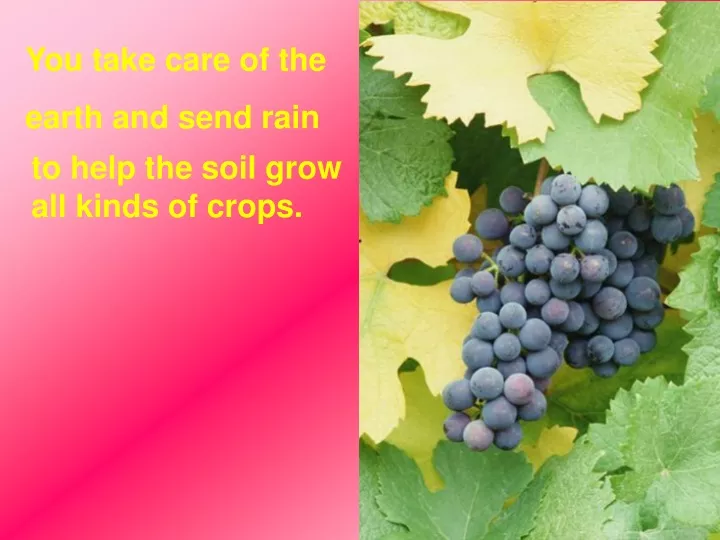 you take care of the earth and send rain