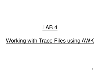 LAB 4 Working with Trace Files using AWK