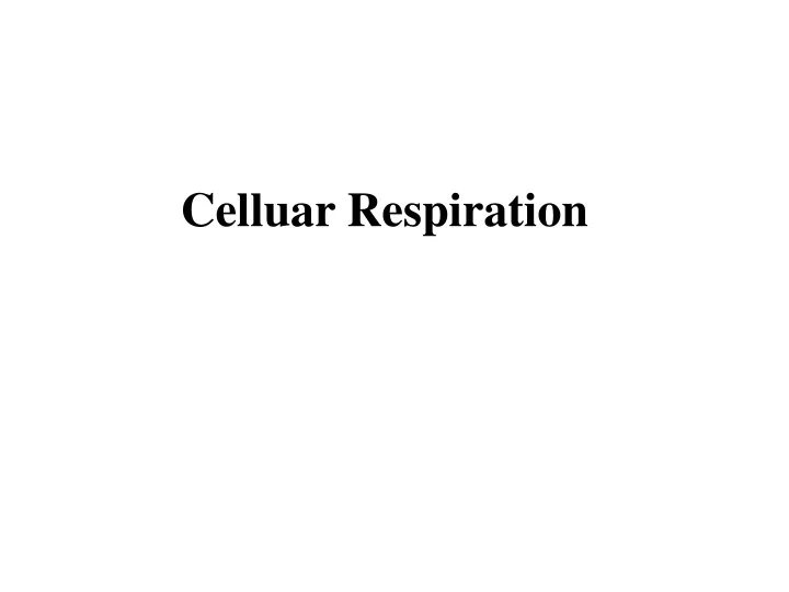 celluar respiration