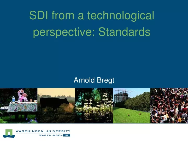 sdi from a technological perspective standards