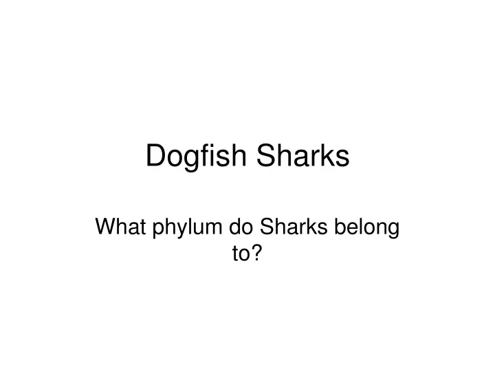 dogfish sharks