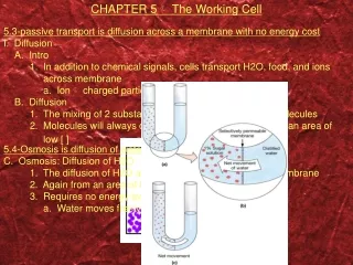 CHAPTER 5 ?  The Working Cell