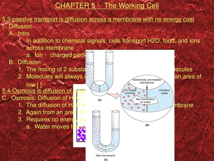 chapter 5 the working cell