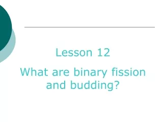 Lesson 12 What are binary fission and budding?