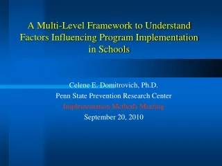 A Multi-Level Framework to Understand Factors Influencing Program Implementation in Schools