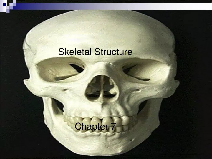 skeletal structure chapter 7