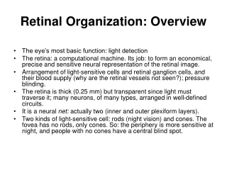 Retinal Organization: Overview