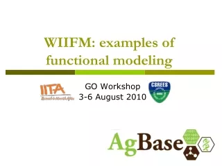 WIIFM: examples of functional modeling
