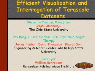 Efficient Visualization and Interrogation of Terascale Datasets