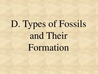 D. Types of Fossils    and Their Formation