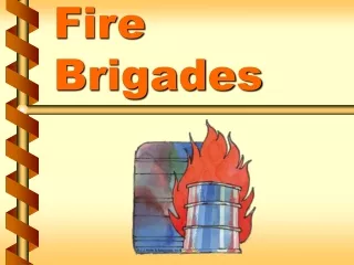 Fire Brigades